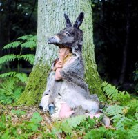 Bild zur Veranstaltung