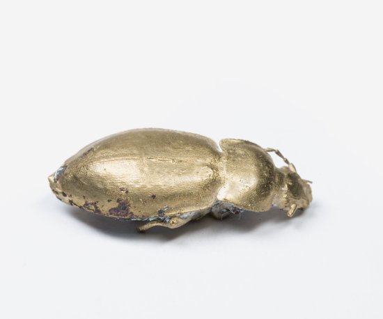 Makroaufnahme eines in Bronze gegossenen Käfers