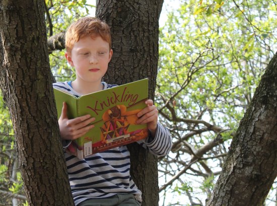 Kind im Baum mit Buch