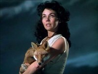 Szenenbild aus DIE SCHWARZE FÜCHSIN