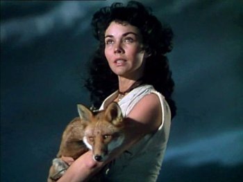 Copyright: courtesy of Park Circus_ITV Studios Szenenbild aus DIE SCHWARZE FÜCHSIN