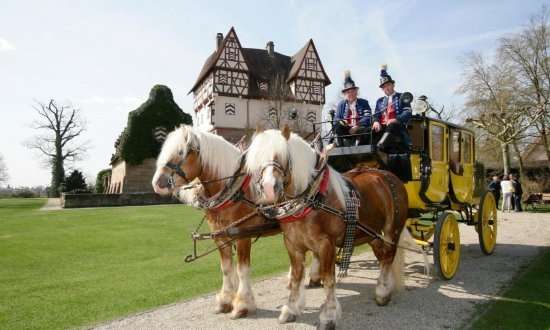 Gelbe Postkutsche mit zwei Pferden vor Schloss Neunhof