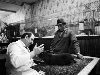 Copyright: Ingeborg Ullrich Szenenbild aus VOM ÜBERSTEHEN DER STÜRME