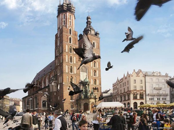 Der Marktplatz von Krakau mit der gotischen Marienkirche.