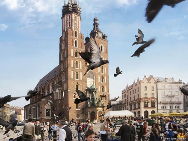 Grenzenlos: Nürnberg trifft Krakau - Jutta Missbach Der Marktplatz von Krakau mit der gotischen Marienkirche.