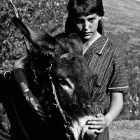 Szenenbild aus ZUM BEISPIEL BALTHASAR