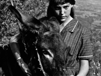 Copyright: Filmverleih Szenenbild aus ZUM BEISPIEL BALTHASAR