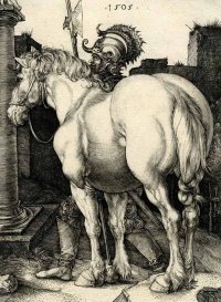 Original Dürer! Dürers Pferde