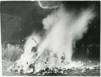 "So fahre nun zur Hölle!" - Die Bücherverbrennung am 12. Mai 1933 in Erlangen