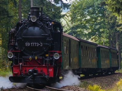 Eine Eisenbahn fährt durch den Wald
