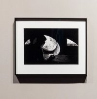 Bild zur Veranstaltung