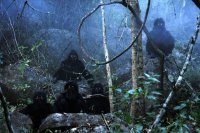 Szenenbild aus UNCLE BOONMEE ERINNERT SICH AN SEINE FRÜHEREN LEBEN