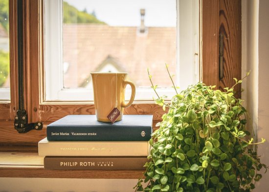 Tasse auf Bücherstapel neben Pflanze