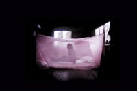 Szenenbild aus dem Kurzfilm A LETTER TO UNCLE BOONMEE