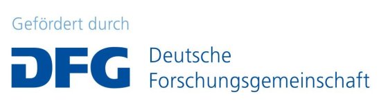 Banner mit der Info, dass die Veranstaltung von der Deutschen Forschungsgemeinschaft gefördert wird.