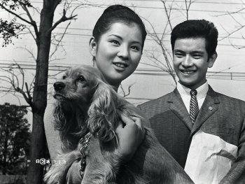 Copyright: 1963 Nikkatsu Corporation