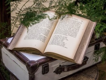 Aufgeschlagenes Buch auf altem Koffer auf dessen Seiten ein Farn hängt