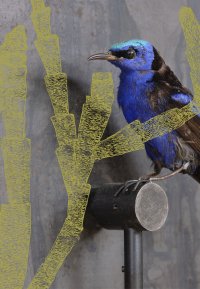 Bild zur Veranstaltung