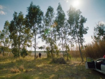 Copyright: Foss Production, Homemade Films, Red Carpet Szenenbild aus ARCADIA