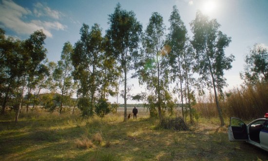 Copyright: Foss Production, Homemade Films, Red Carpet