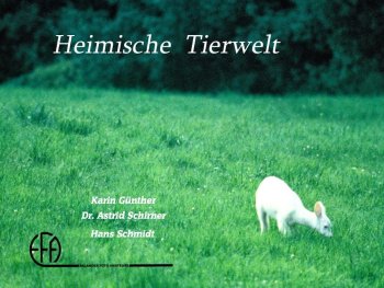 Copyright: Karin Günther Bild zur Veranstaltung