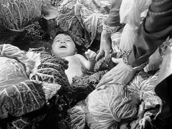 Copyright: Filmverleih