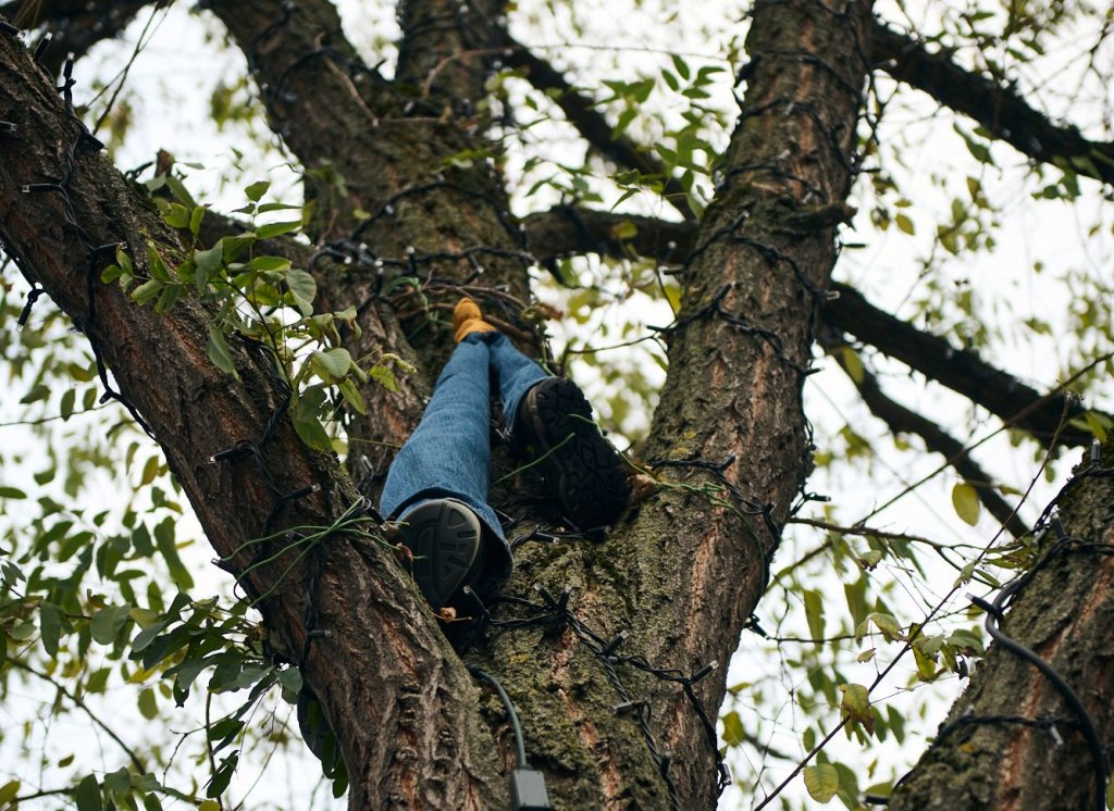 Skulptur im Baum