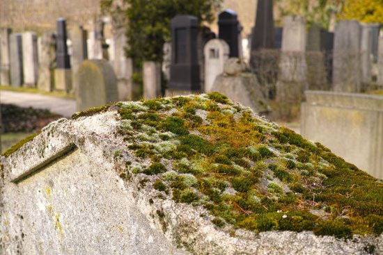Foto: Jüdisches Museum Franken
