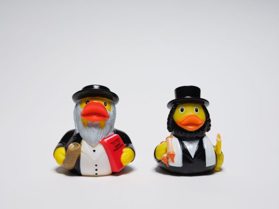 Foto: Fotografin: Annette Kradisch