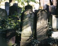 Stadtführung "Wovon die Steine zeugen"