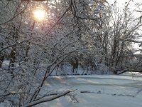 Bild zur Veranstaltung