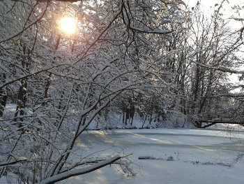 Bild zur Veranstaltung