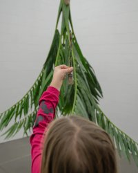 Ein Kind vergleicht einen Pinsel mit Palmenblättern