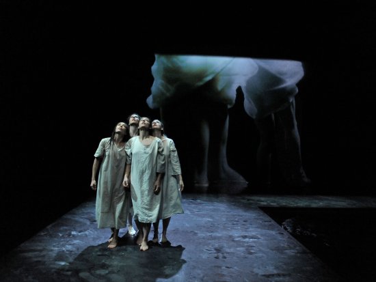 Copyright: Mikha Wajnrych