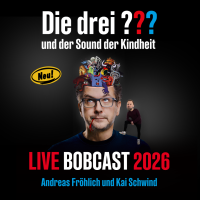 Drei Fragezeichen Tourposter