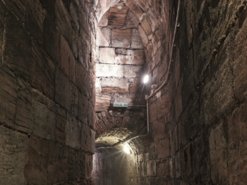 Bild zur Veranstaltung