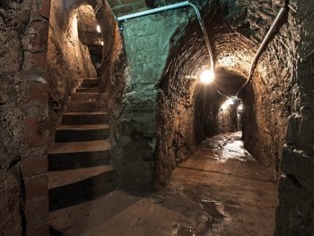 Bild zur Veranstaltung