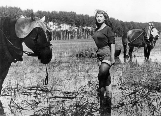 Copyright: Filmverleih