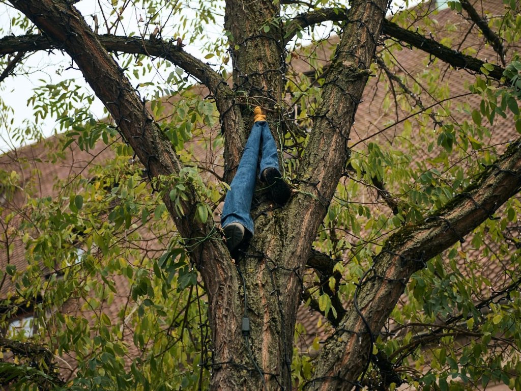 Kunstinstallation in einem Baum