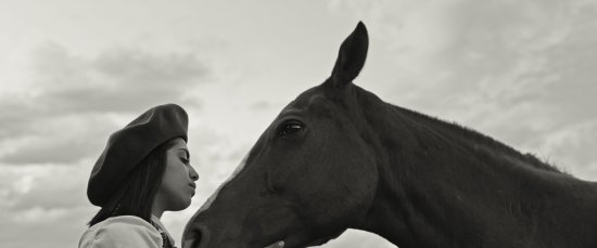 Copyright: Rapid Eye Movies