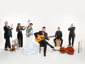 Daniel Martinez Flamenco Company