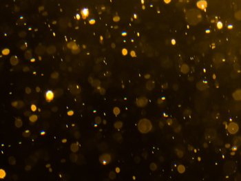 Bild zur Veranstaltung