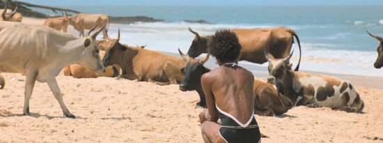 Copyright: Grandfilm