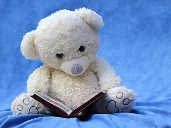 Copyright: oldiefan_(pixabay) Ein Plüschbär liest ein Buch