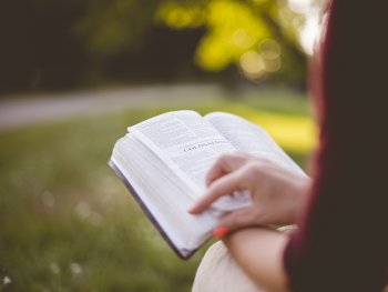 Person sitzt im Grünen und liest ein Buch