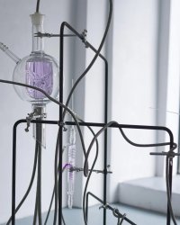 Bild zur Veranstaltung