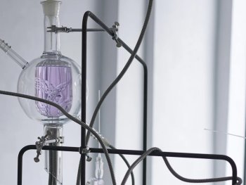 Copyright: Markus Marschmann Bild zur Veranstaltung