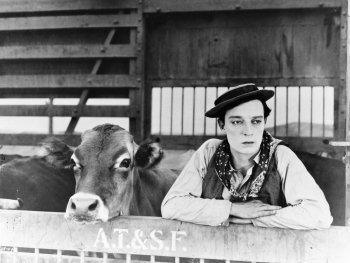 Copyright: Filmverleih Szenenbild aus GO WEST