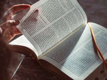 Bild zur Veranstaltung