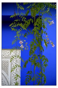 Bild zur Veranstaltung